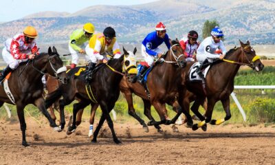 Mastering Horse Racing Betting Online: Tips for Success