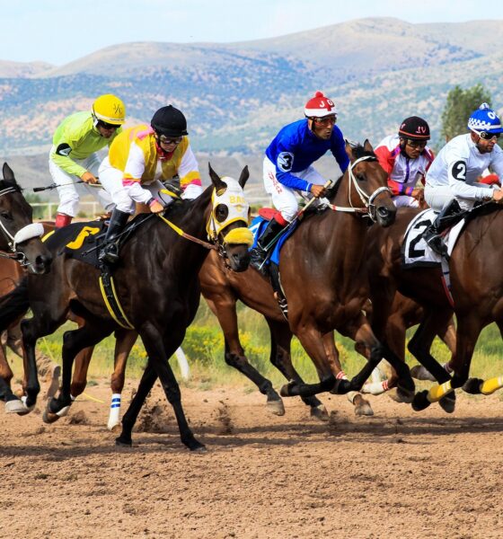 Mastering Horse Racing Betting Online: Tips for Success