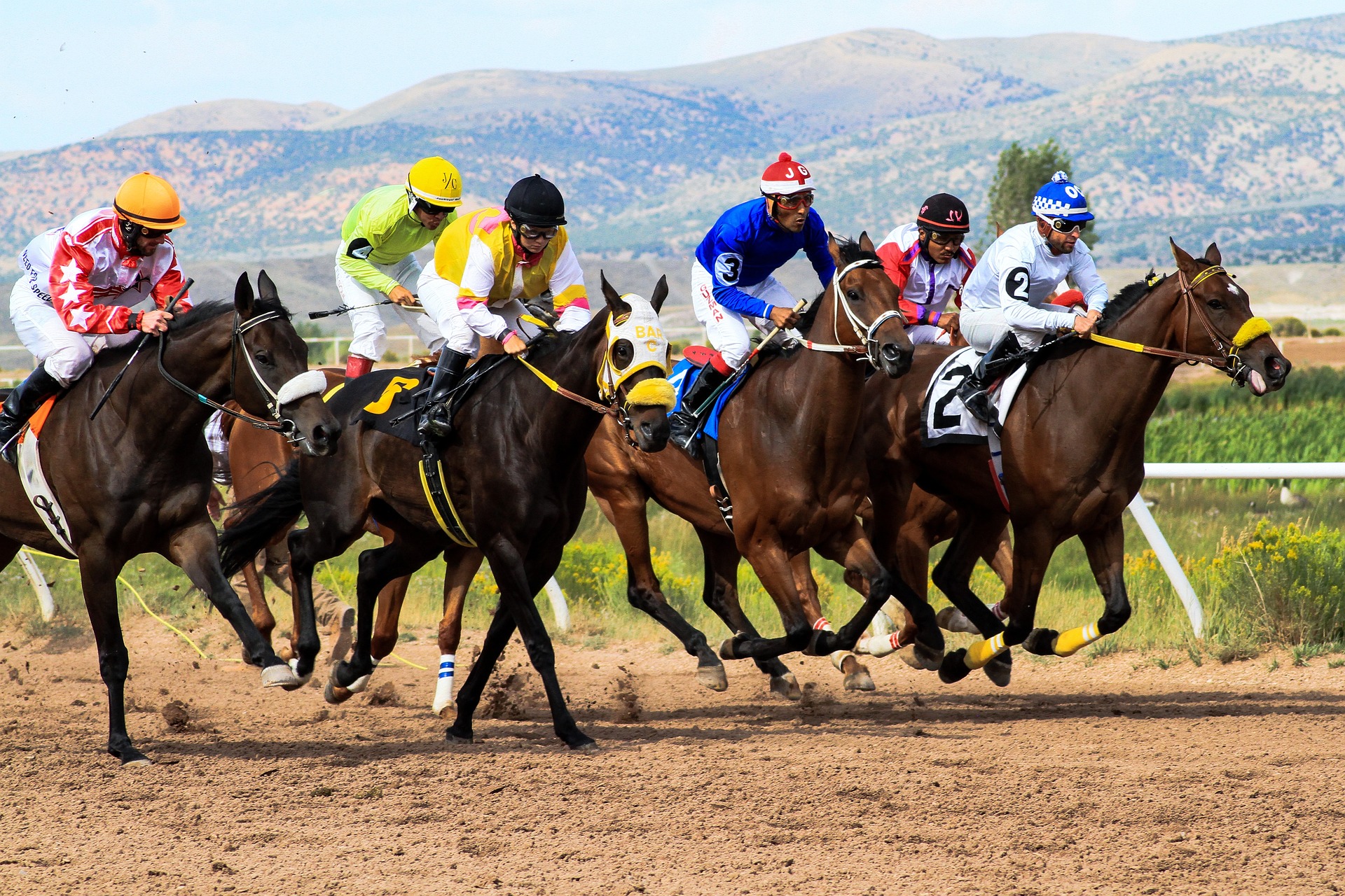 Mastering Horse Racing Betting Online: Tips for Success